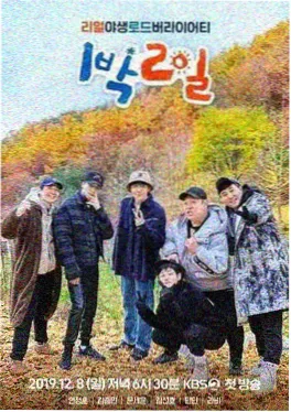 一起去露营综艺在线观看